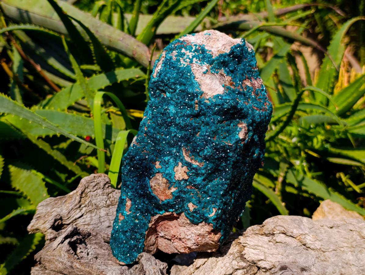 Natural Dioptase On Dolomite Specimens x 1 From Likasi, Congo - Toprock Gemstones and Minerals 