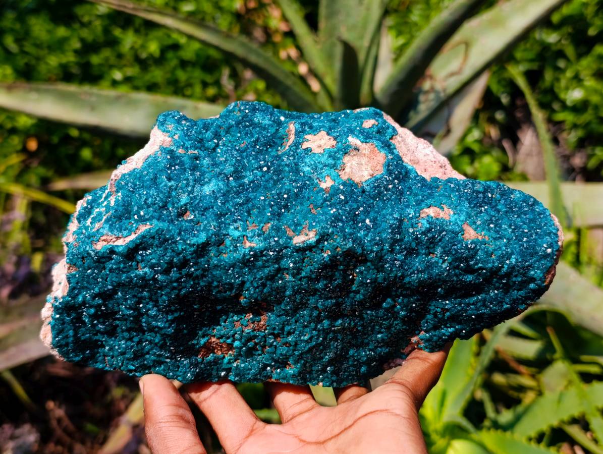 Natural Dioptase On Dolomite Specimens x 1 From Likasi, Congo - Toprock Gemstones and Minerals 