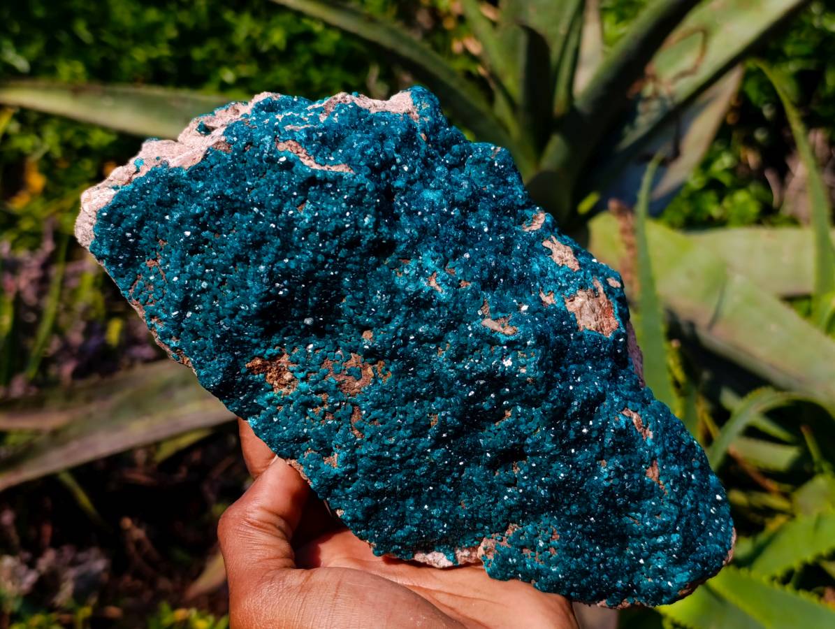 Natural Dioptase On Dolomite Specimens x 1 From Likasi, Congo - Toprock Gemstones and Minerals 