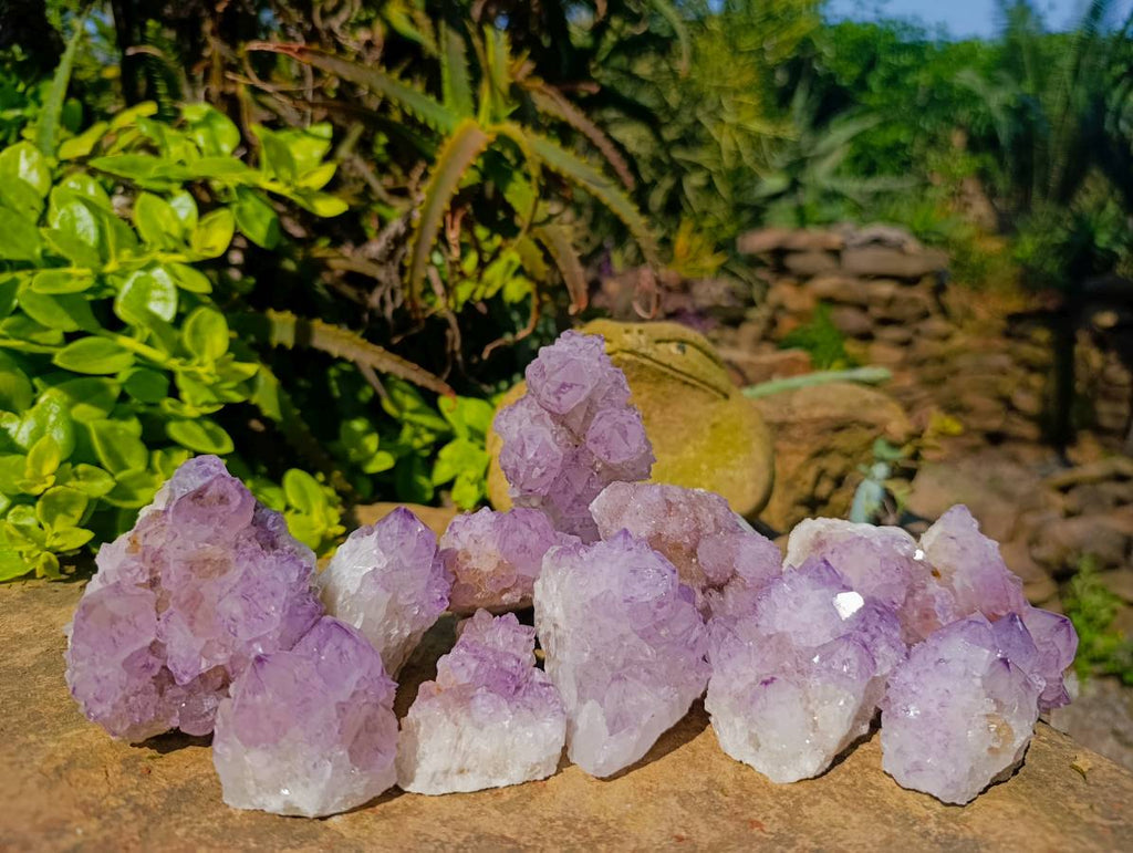 Natural Sunburst Amethyst Spirit Quartz Clusters x 12 From Boekenhouthoek, South Africa - Toprock Gemstones and Minerals 