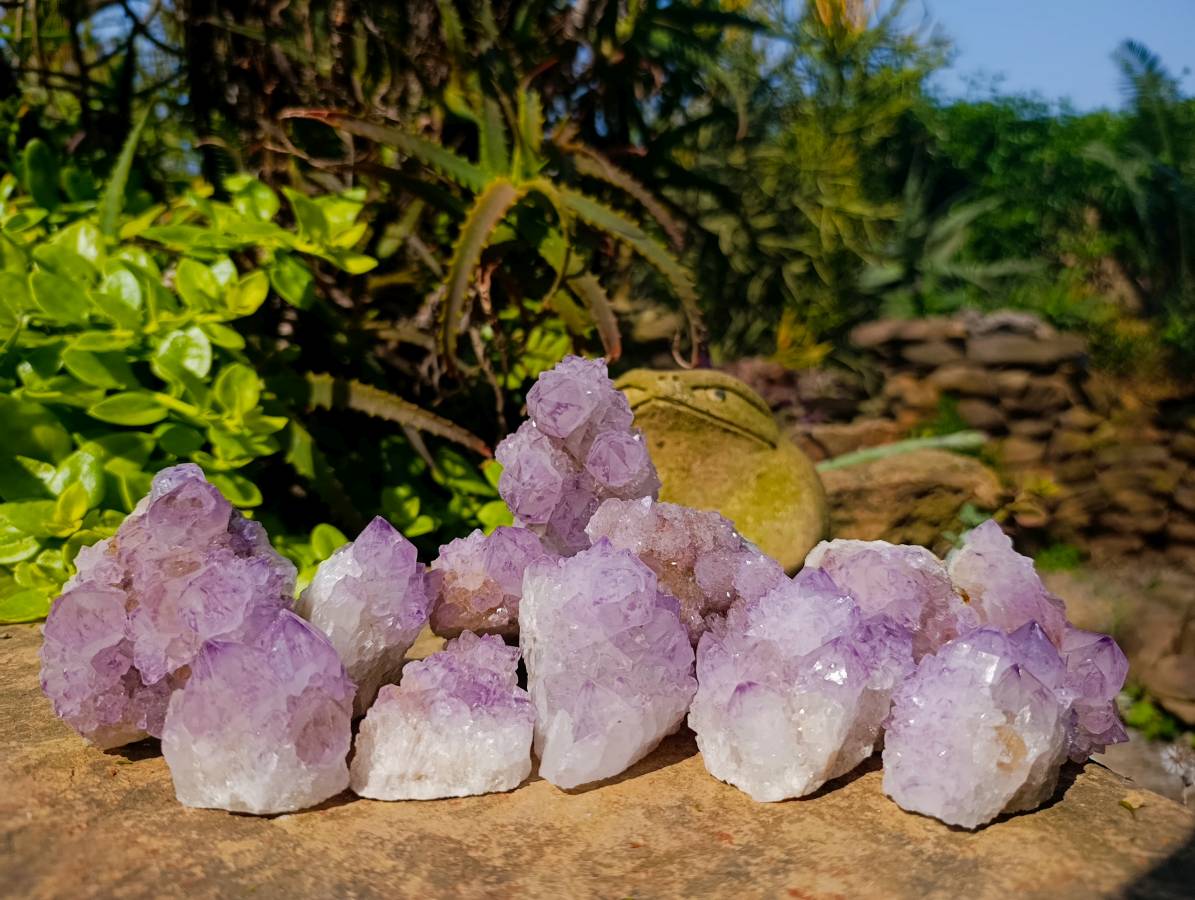 Natural Sunburst Amethyst Spirit Quartz Clusters x 12 From Boekenhouthoek, South Africa - Toprock Gemstones and Minerals 
