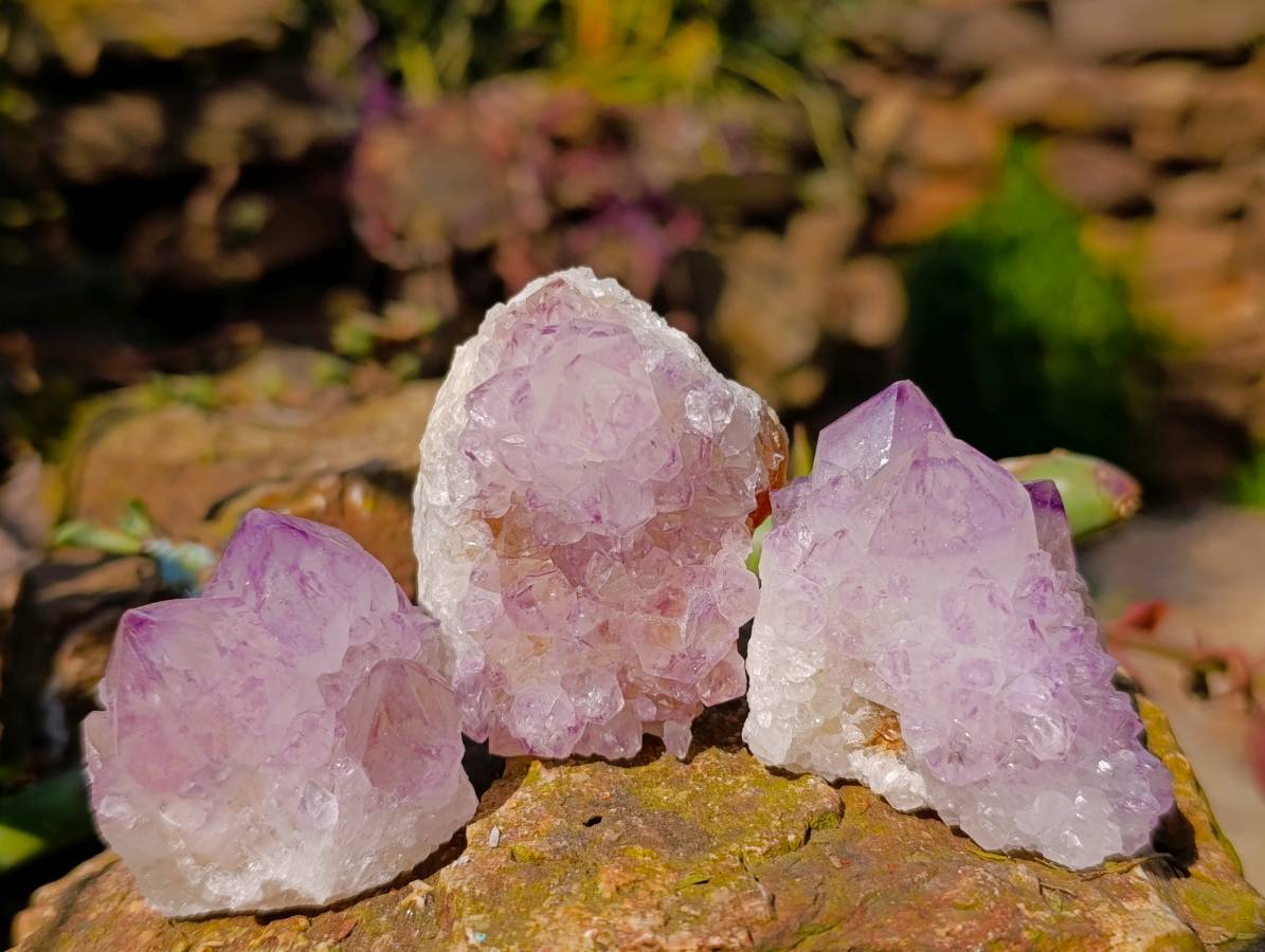 Natural Sunburst Amethyst Spirit Quartz Clusters x 12 From Boekenhouthoek, South Africa - Toprock Gemstones and Minerals 