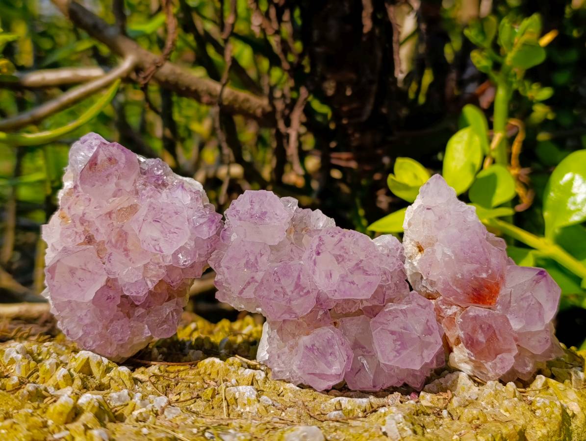 Natural Sunburst Amethyst Spirit Quartz Clusters x 12 From Boekenhouthoek, South Africa - Toprock Gemstones and Minerals 
