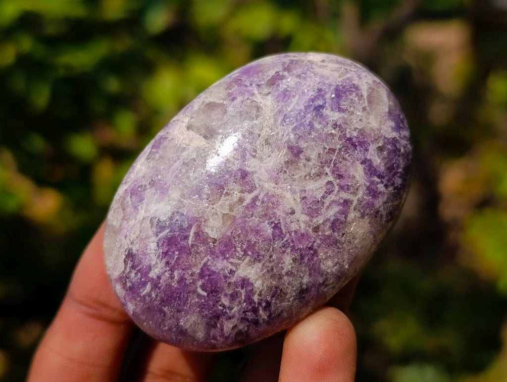 Polished Lepidolite With Pink Rubellite Palm Stones x 12 From Ambatondrazaka, Madagascar - Toprock Gemstones and Minerals 