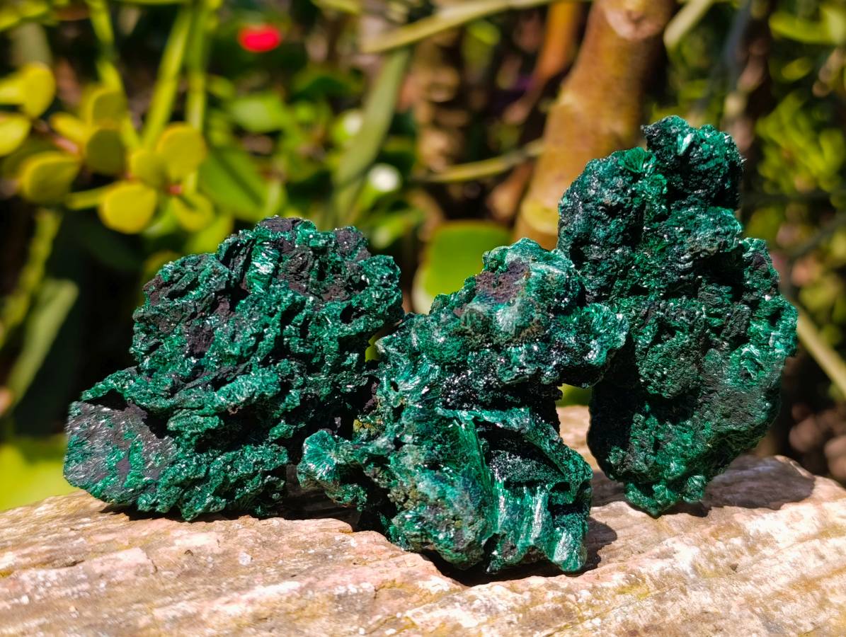 Natural Silky Malachite Specimens x 12 From Kasompe, Congo - Toprock Gemstones and Minerals 