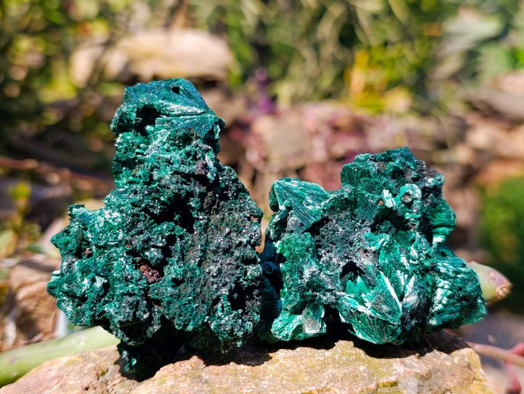 Natural Silky Malachite Specimens x 12 From Kasompe, Congo - Toprock Gemstones and Minerals 