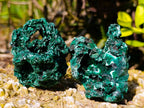 Natural Silky Malachite Specimens x 12 From Kasompe, Congo - Toprock Gemstones and Minerals 