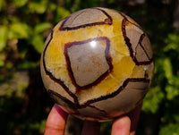 Polished Septerye Spheres x 2 From Mahajanga, Madagascar - Toprock Gemstones and Minerals 