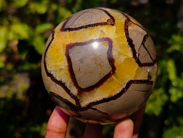 Polished Septerye Spheres x 2 From Mahajanga, Madagascar - Toprock Gemstones and Minerals 
