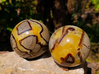 Polished Septerye Spheres x 2 From Mahajanga, Madagascar - Toprock Gemstones and Minerals 