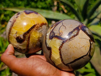 Polished Septerye Spheres x 2 From Mahajanga, Madagascar - Toprock Gemstones and Minerals 