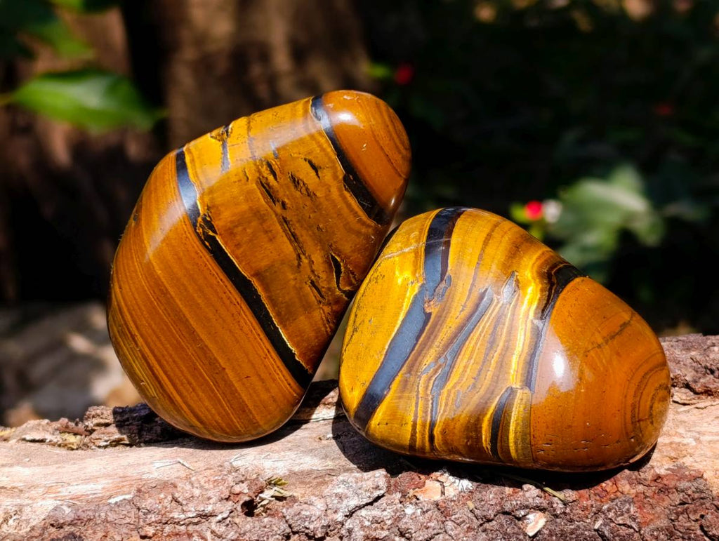 Polished Golden Tiger's Eye Free Forms x 6 From Prieska, South Africa - Toprock Gemstones and Minerals 
