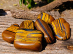 Polished Golden Tiger's Eye Free Forms x 6 From Prieska, South Africa - Toprock Gemstones and Minerals 