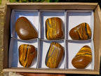 Polished Golden Tiger's Eye Free Forms x 6 From Prieska, South Africa - Toprock Gemstones and Minerals 