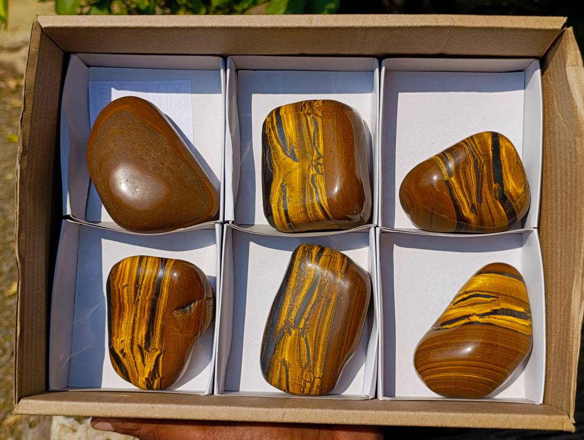 Polished Golden Tiger's Eye Free Forms x 6 From Prieska, South Africa - Toprock Gemstones and Minerals 