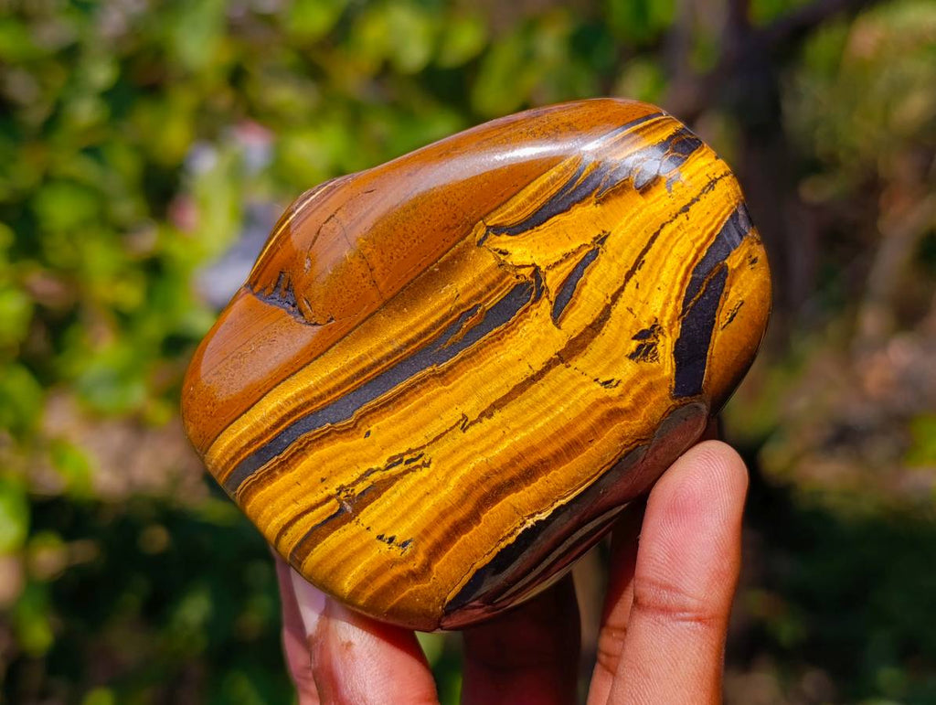 Polished Golden Tiger's Eye Free Forms x 6 From Prieska, South Africa - Toprock Gemstones and Minerals 
