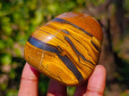 Polished Golden Tiger's Eye Free Forms x 6 From Prieska, South Africa - Toprock Gemstones and Minerals 