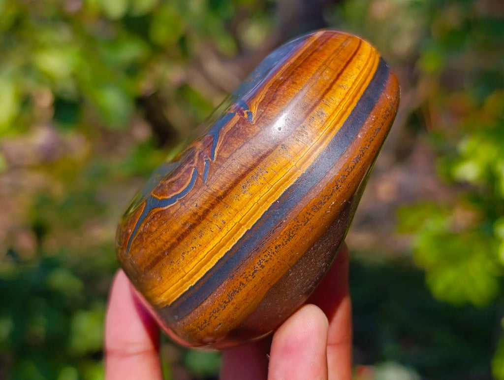 Polished Golden Tiger's Eye Free Forms x 6 From Prieska, South Africa - Toprock Gemstones and Minerals 