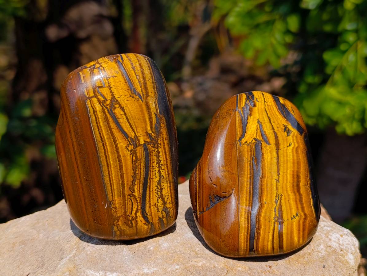 Polished Golden Tiger's Eye Free Forms x 6 From Prieska, South Africa - Toprock Gemstones and Minerals 