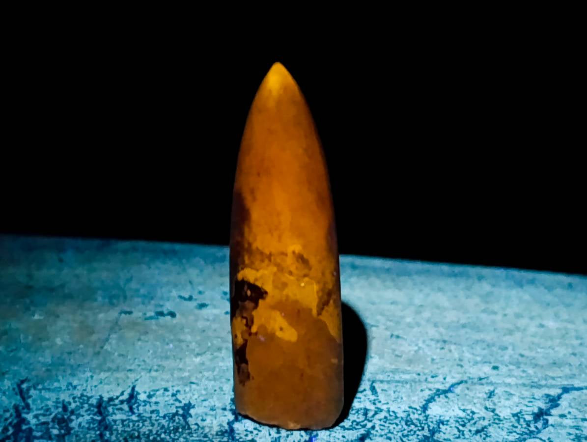 Natural Belemnite Fossil Specimens x 2.09 Lot From Mahanjanga, Madagascar - Toprock Gemstones and Minerals 