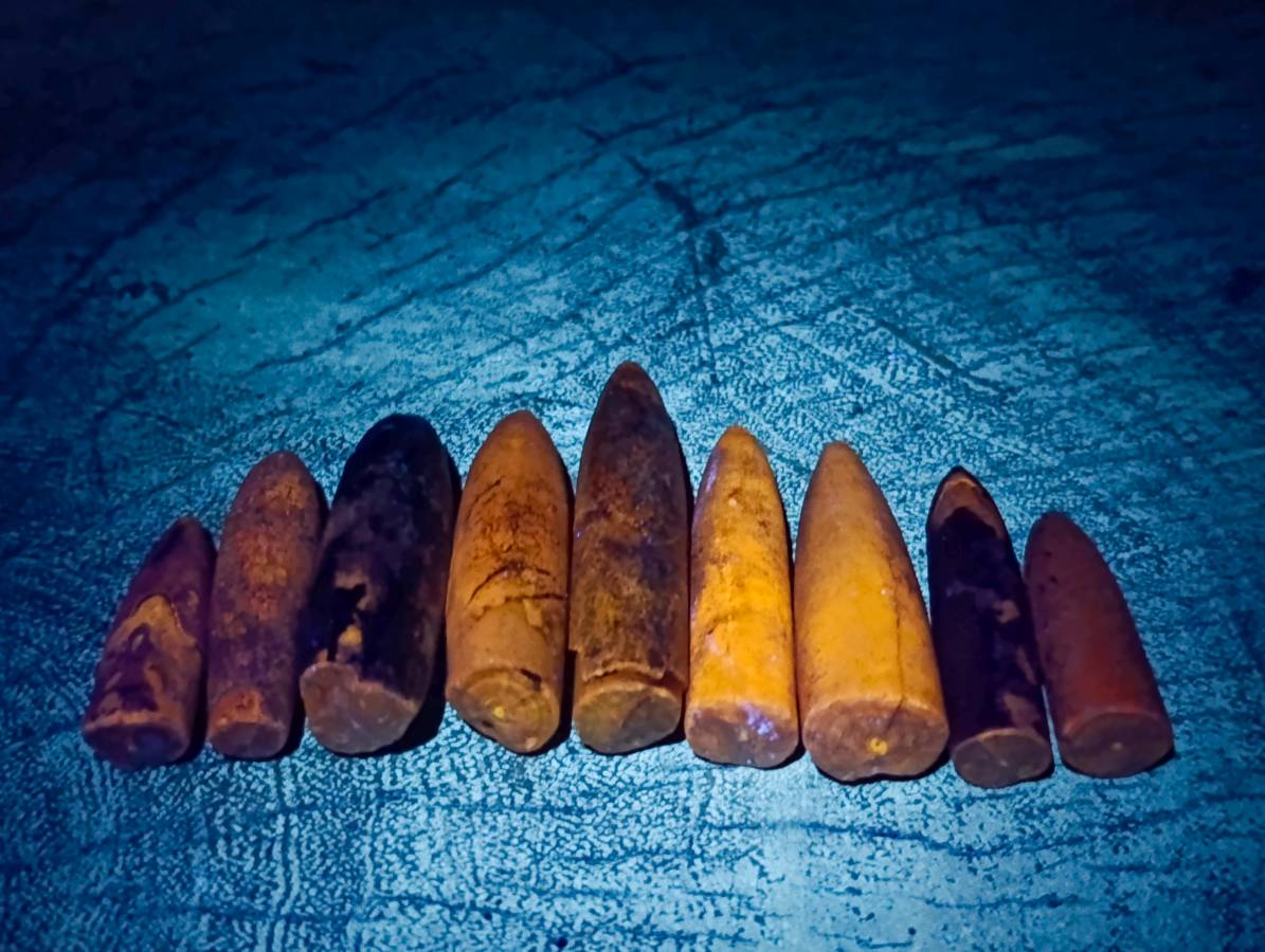 Natural Belemnite Fossil Specimens x 2.09 Lot From Mahanjanga, Madagascar - Toprock Gemstones and Minerals 