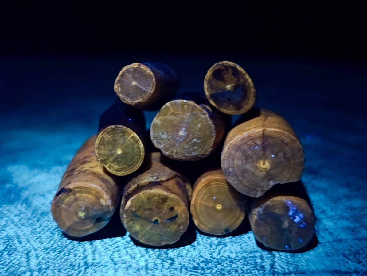 Natural Belemnite Fossil Specimens x 2.09 Lot From Mahanjanga, Madagascar - Toprock Gemstones and Minerals 