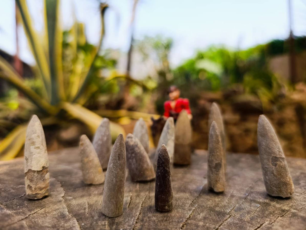Natural Belemnite Fossil Specimens x 2.09 Lot From Mahanjanga, Madagascar - Toprock Gemstones and Minerals 