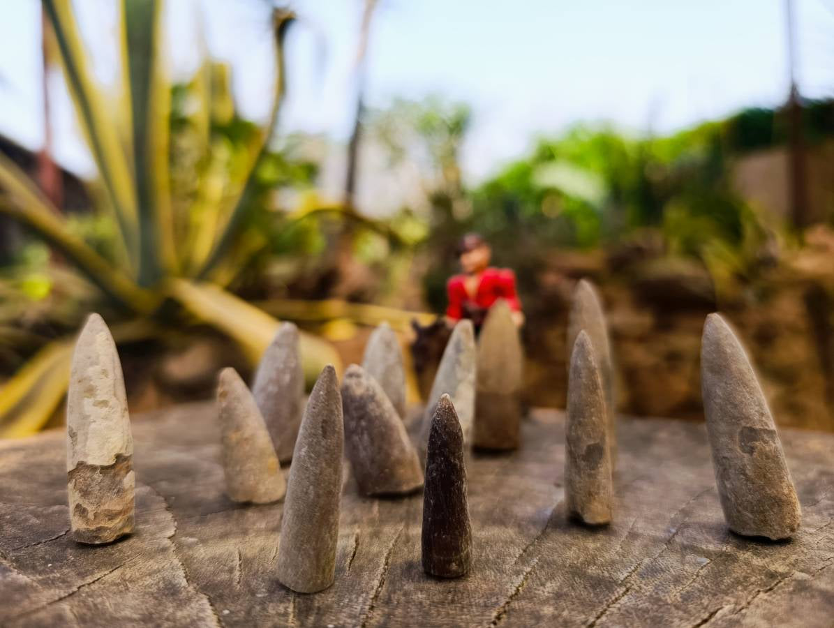 Natural Belemnite Fossil Specimens x 2.09 Lot From Mahanjanga, Madagascar - Toprock Gemstones and Minerals 