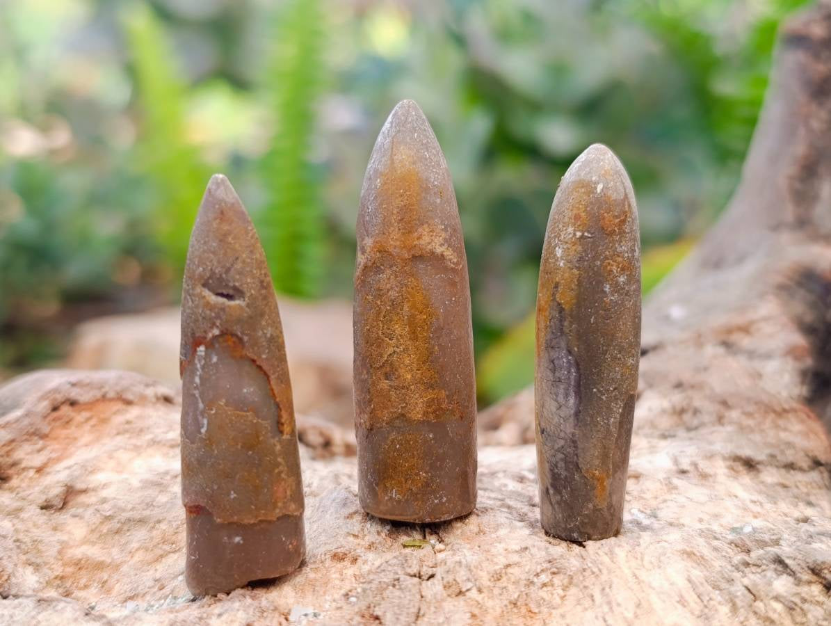 Natural Belemnite Fossil Specimens x 2.09 Lot From Mahanjanga, Madagascar - Toprock Gemstones and Minerals 