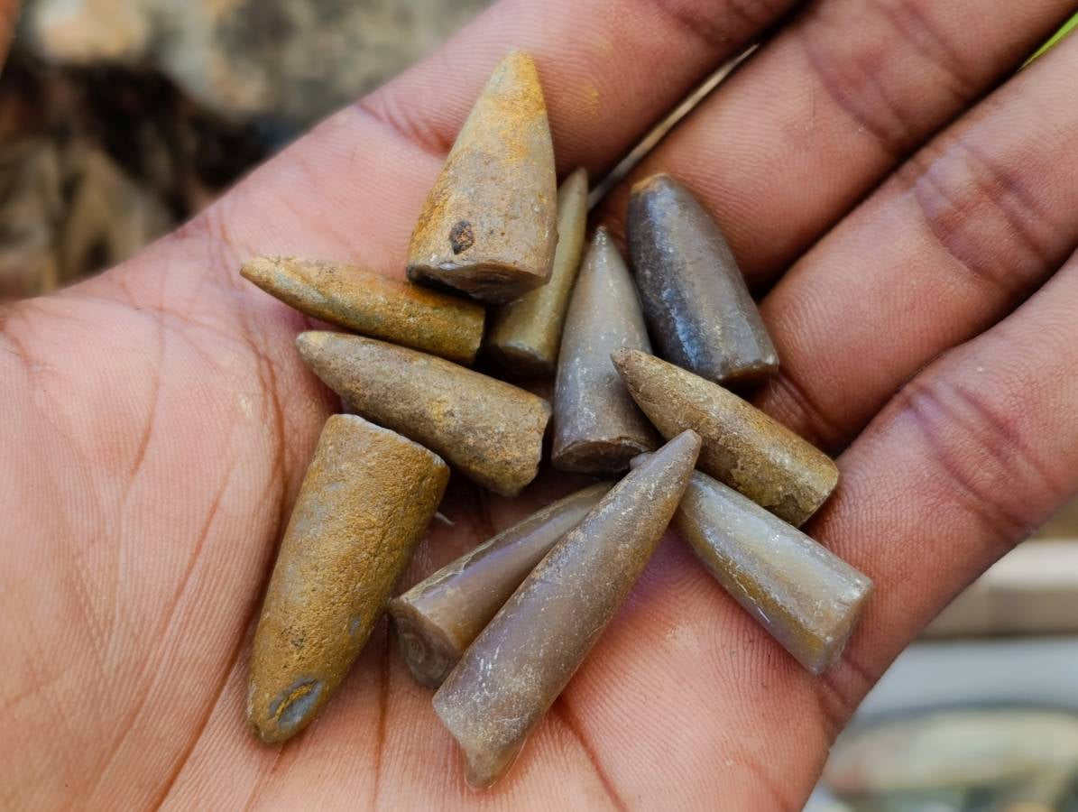 Natural Belemnite Fossil Specimens x 2.09 Lot From Mahanjanga, Madagascar - Toprock Gemstones and Minerals 