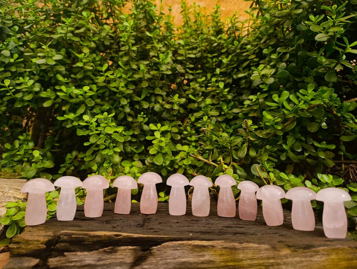 Polished Gemmy Rose Quartz Mushrooms x 12 From Madagascar - Toprock Gemstones and Minerals 