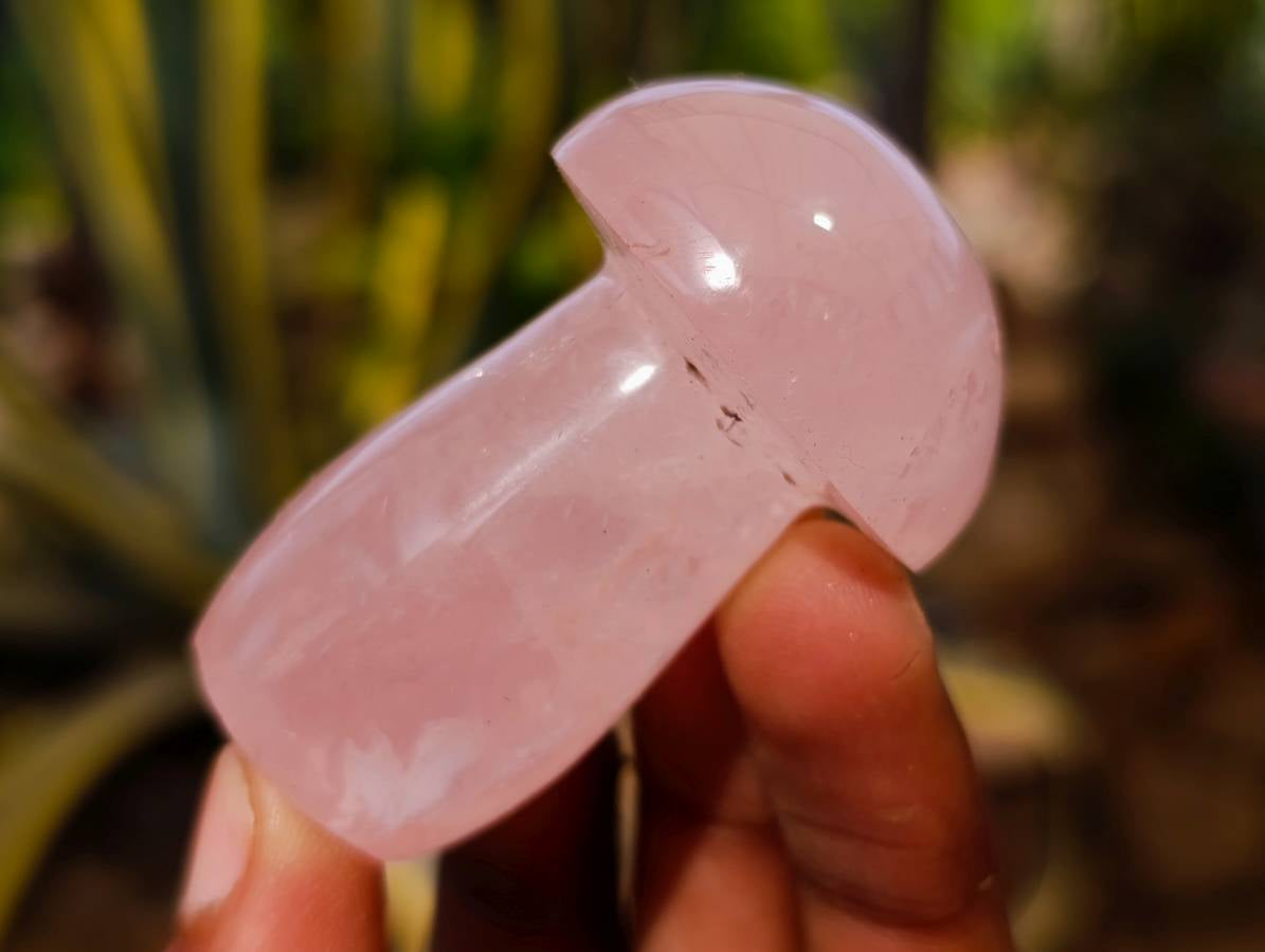 Polished Gemmy Rose Quartz Mushrooms x 12 From Madagascar - Toprock Gemstones and Minerals 