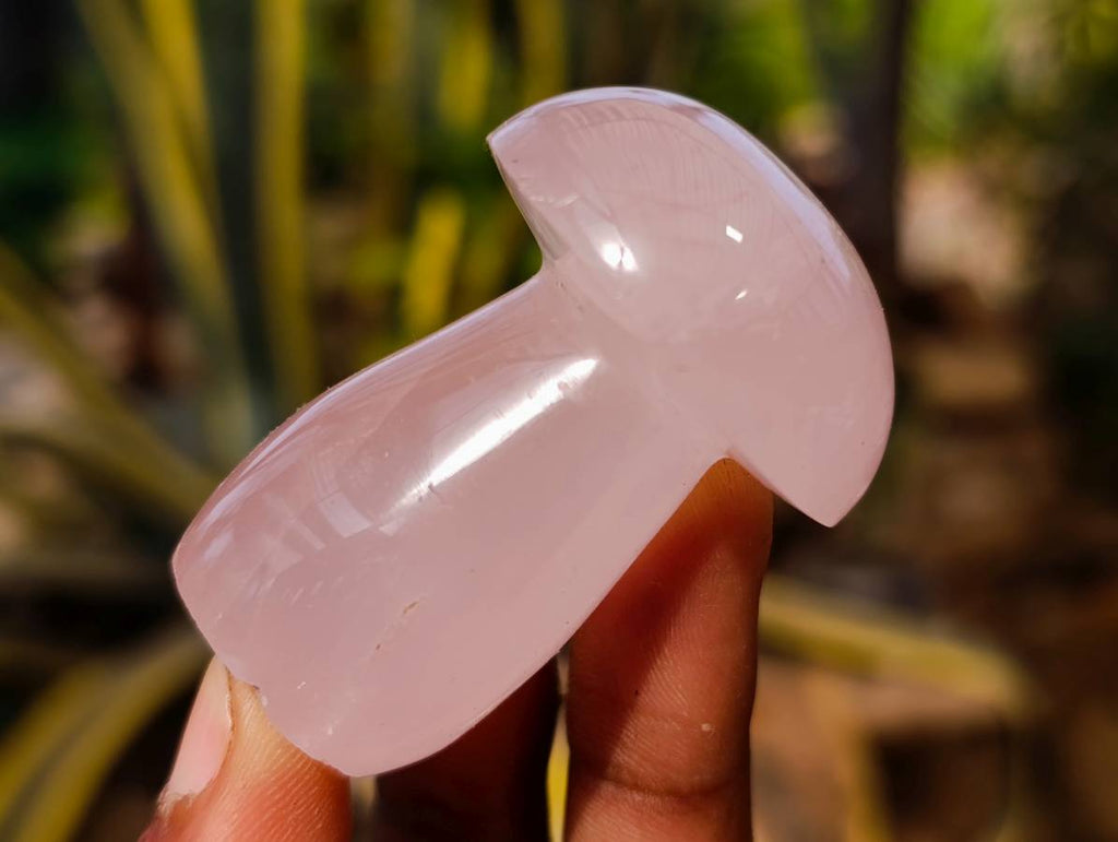 Polished Gemmy Rose Quartz Mushrooms x 12 From Madagascar - Toprock Gemstones and Minerals 