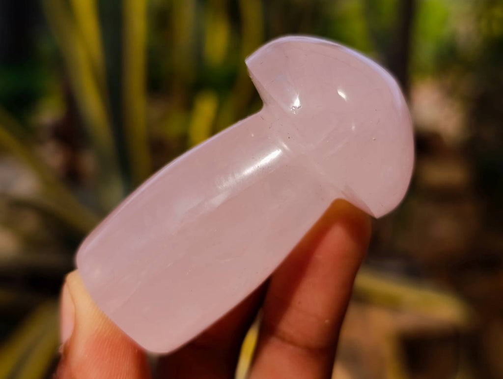 Polished Rose Quartz Mushrooms x 12 From Madagascar - Toprock Gemstones and Minerals 