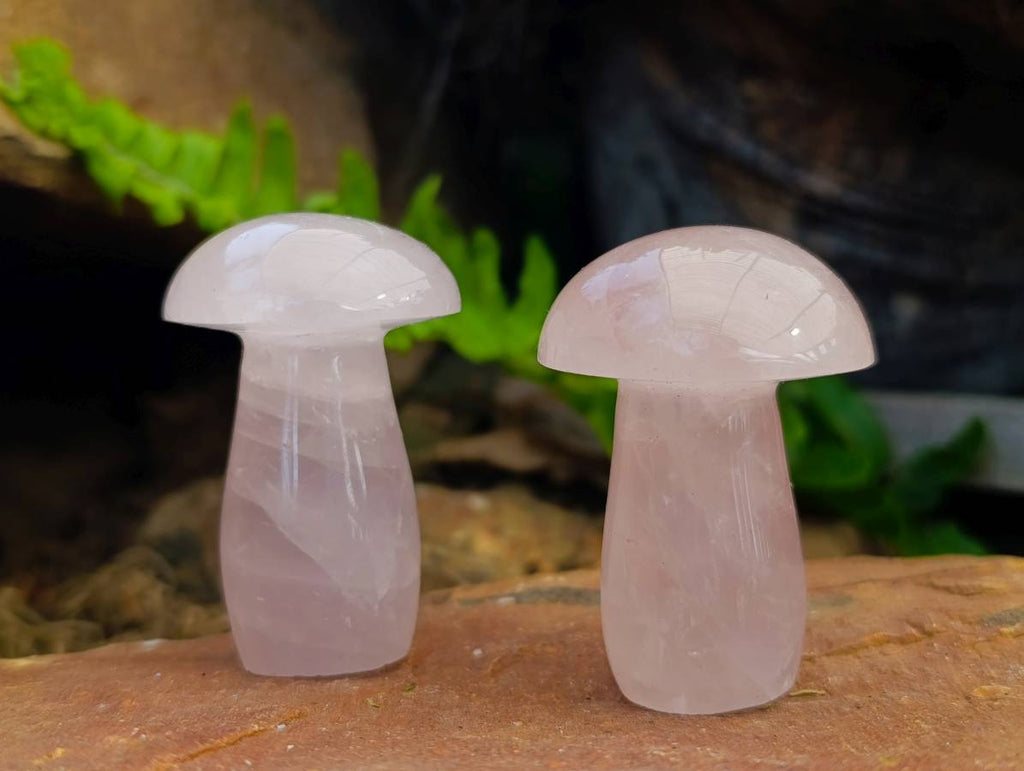 Polished Rose Quartz Mushrooms x 12 From Madagascar - Toprock Gemstones and Minerals 