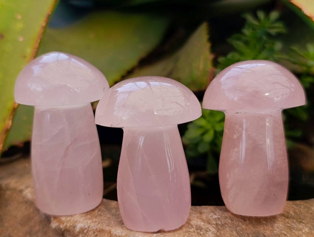 Polished Gemmy Rose Quartz Mushrooms x 12 From Madagascar - Toprock Gemstones and Minerals 