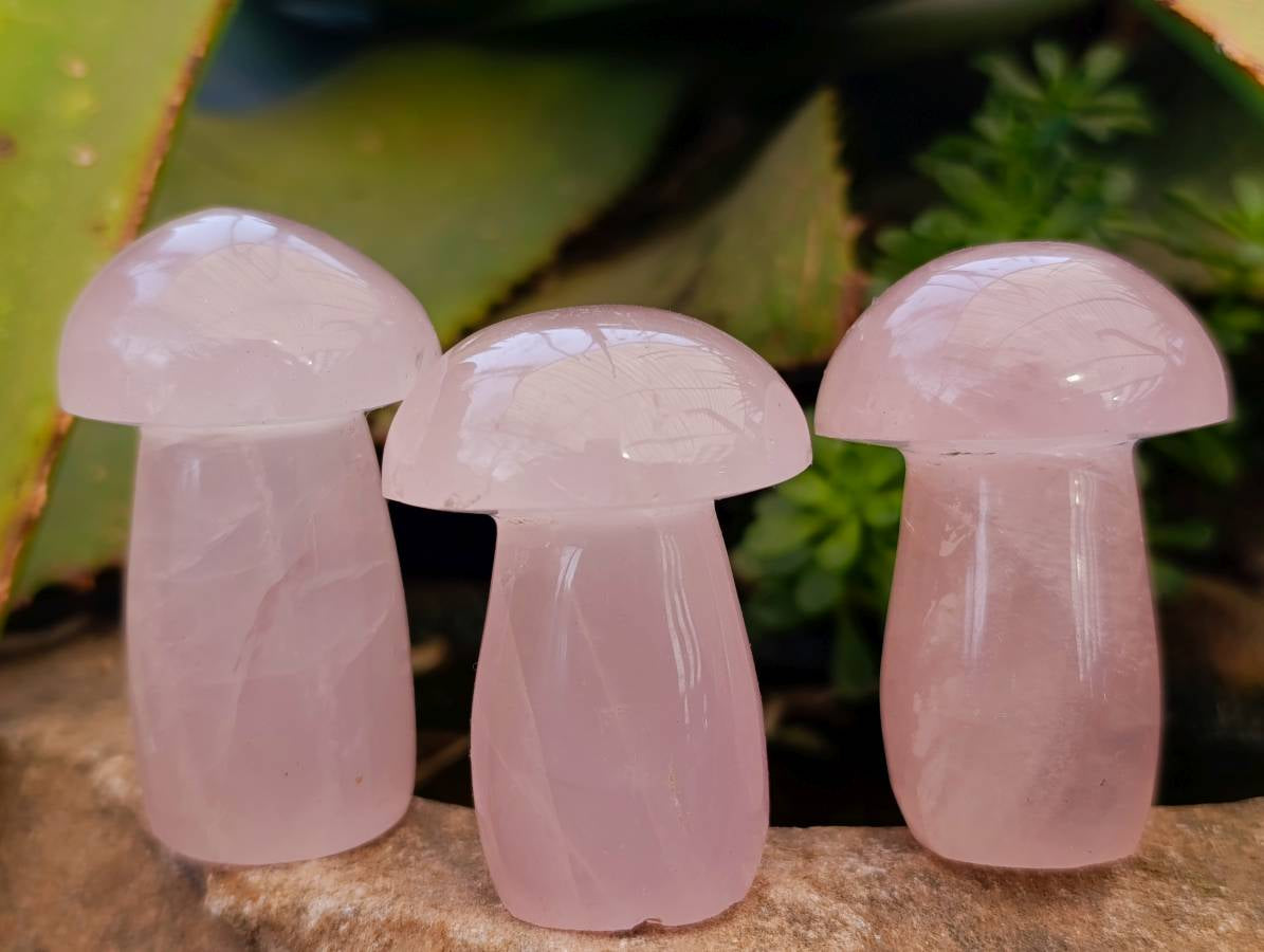 Polished Gemmy Rose Quartz Mushrooms x 12 From Madagascar - Toprock Gemstones and Minerals 