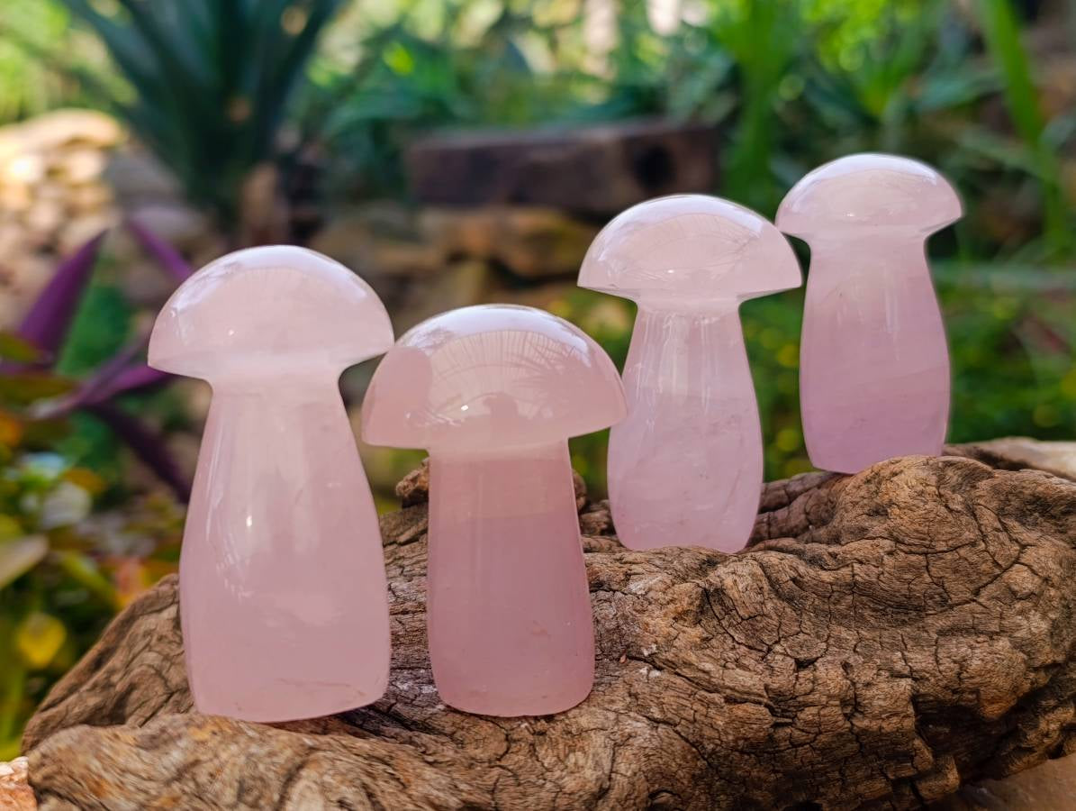 Polished Gemmy Rose Quartz Mushrooms x 12 From Madagascar - Toprock Gemstones and Minerals 