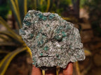 Natural Emerald Mica 'Mutokolite' Cobbed Specimens x 6 From Mutoko, Zimbabwe - Toprock Gemstones and Minerals 
