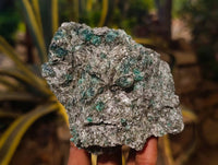 Natural Emerald Mica 'Mutokolite' Cobbed Specimens x 6 From Mutoko, Zimbabwe - Toprock Gemstones and Minerals 