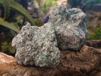 Natural Emerald Mica 'Mutokolite' Cobbed Specimens x 6 From Mutoko, Zimbabwe - Toprock Gemstones and Minerals 