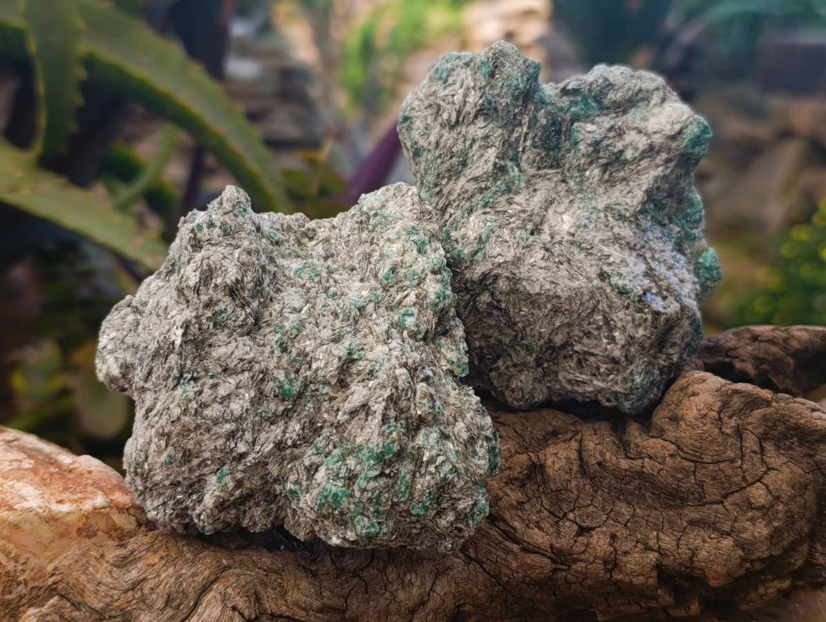 Natural Emerald Mica 'Mutokolite' Cobbed Specimens x 6 From Mutoko, Zimbabwe - Toprock Gemstones and Minerals 