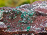 Natural Ball Malachite and Drusy Quartz On Dolomite Matrix Specimens x 2 From Kambove, Congo