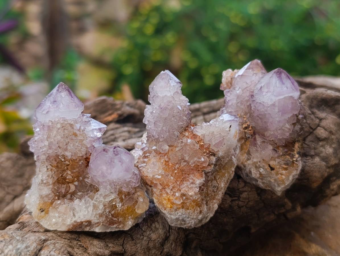 Natural Sunburst Amethyst Spirit Quartz Clusters x 26 From Boekenhouthoek, South Africa - Toprock Gemstones and Minerals 