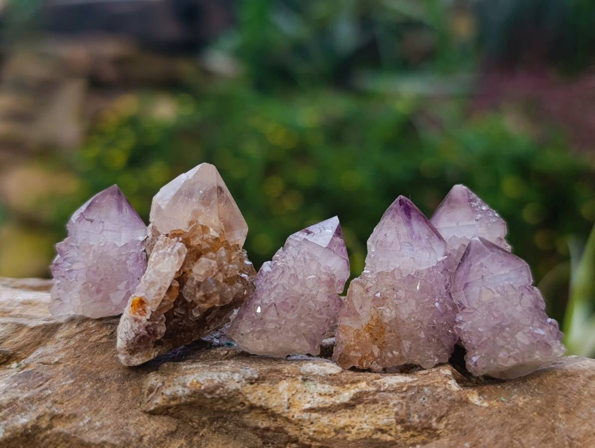 Natural Sunburst Amethyst Spirit Quartz Clusters x 26 From Boekenhouthoek, South Africa - Toprock Gemstones and Minerals 