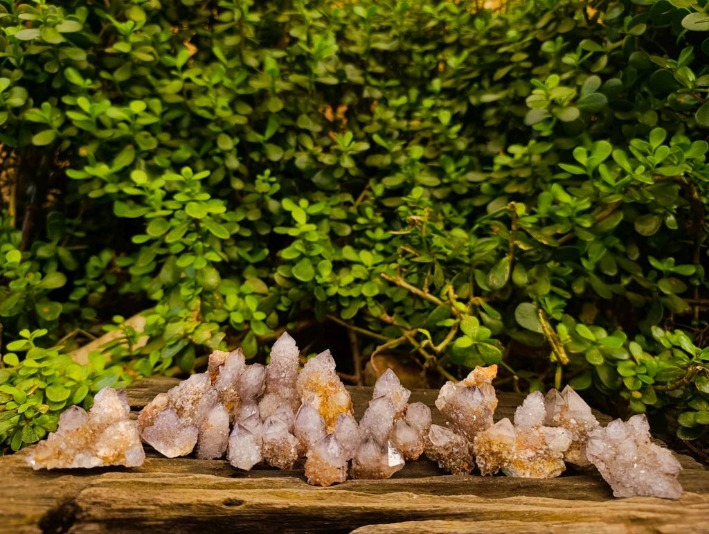 Natural Sunburst Amethyst Spirit Quartz Clusters x 26 From Boekenhouthoek, South Africa - Toprock Gemstones and Minerals 