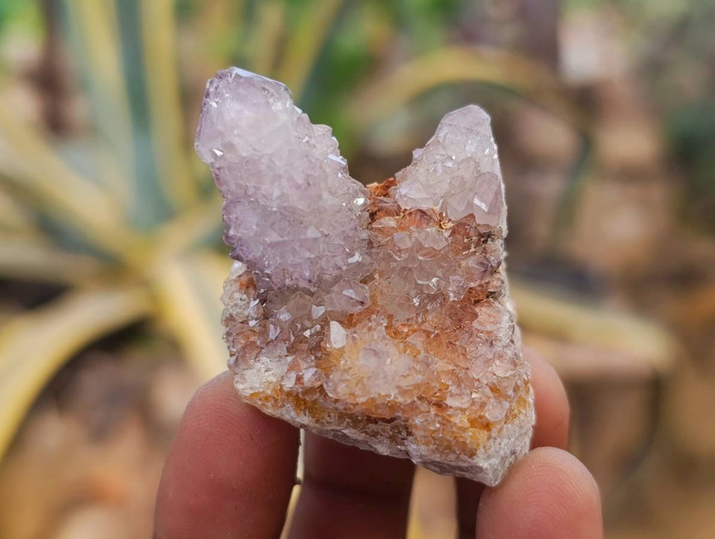 Natural Sunburst Amethyst Spirit Quartz Clusters x 26 From Boekenhouthoek, South Africa - Toprock Gemstones and Minerals 