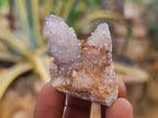 Natural Sunburst Amethyst Spirit Quartz Clusters x 26 From Boekenhouthoek, South Africa - Toprock Gemstones and Minerals 