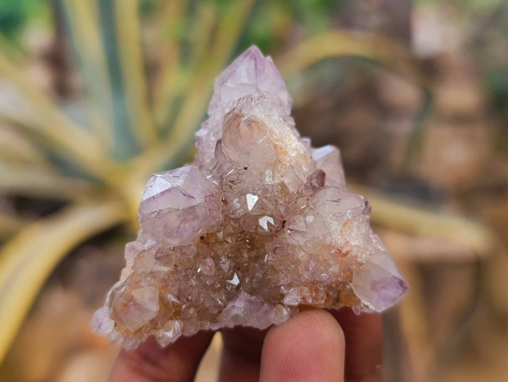 Natural Sunburst Amethyst Spirit Quartz Clusters x 26 From Boekenhouthoek, South Africa - Toprock Gemstones and Minerals 