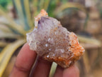 Natural Sunburst Amethyst Spirit Quartz Clusters x 26 From Boekenhouthoek, South Africa - Toprock Gemstones and Minerals 